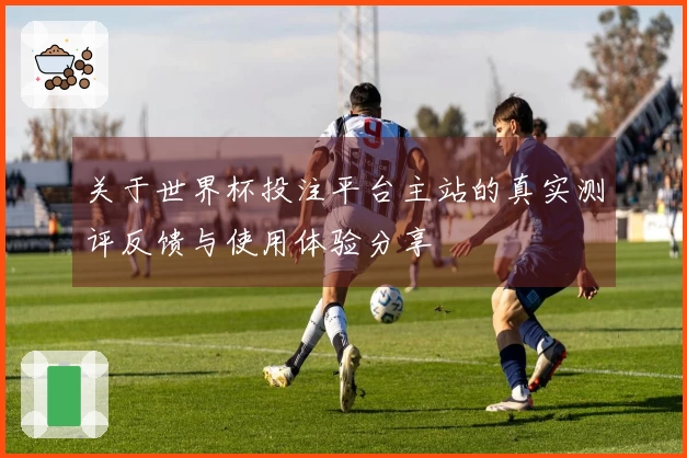 关于世界杯投注平台主站的真实测评反馈与使用体验分享