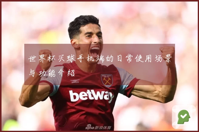 世界杯买球手机端的日常使用场景与功能介绍