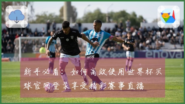 新手必看：如何高效使用世界杯买球官网登录享受精彩赛事直播