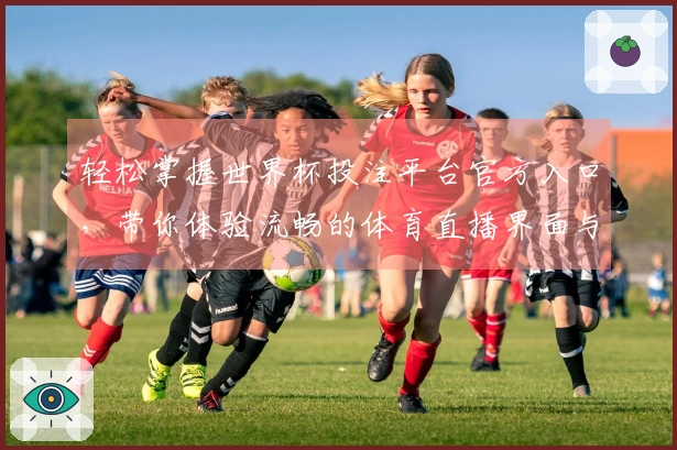 轻松掌握世界杯投注平台官方入口，带你体验流畅的体育直播界面与丰富功能