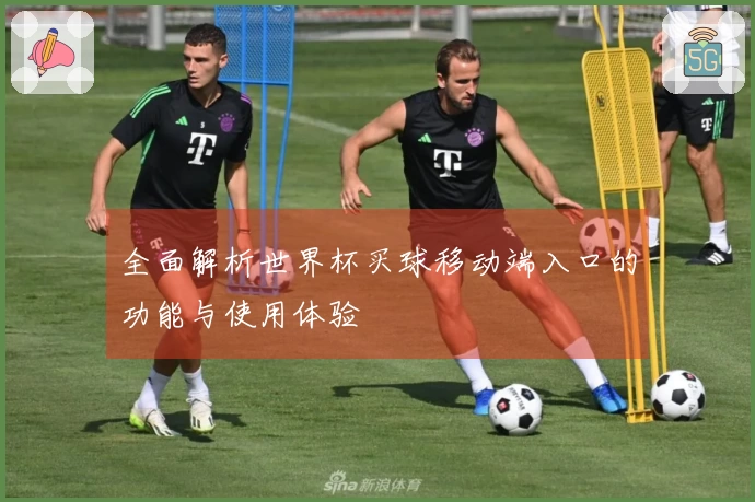 全面解析世界杯买球移动端入口的功能与使用体验