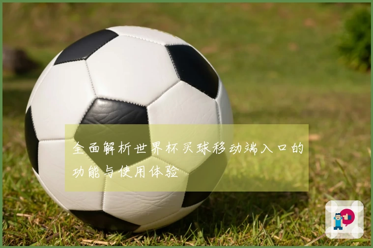 全面解析世界杯买球移动端入口的功能与使用体验