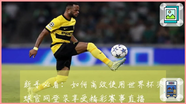 新手必看：如何高效使用世界杯买球官网登录享受精彩赛事直播