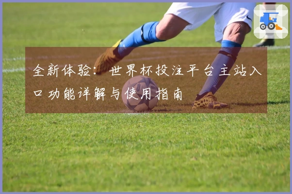 全新体验：世界杯投注平台主站入口功能详解与使用指南